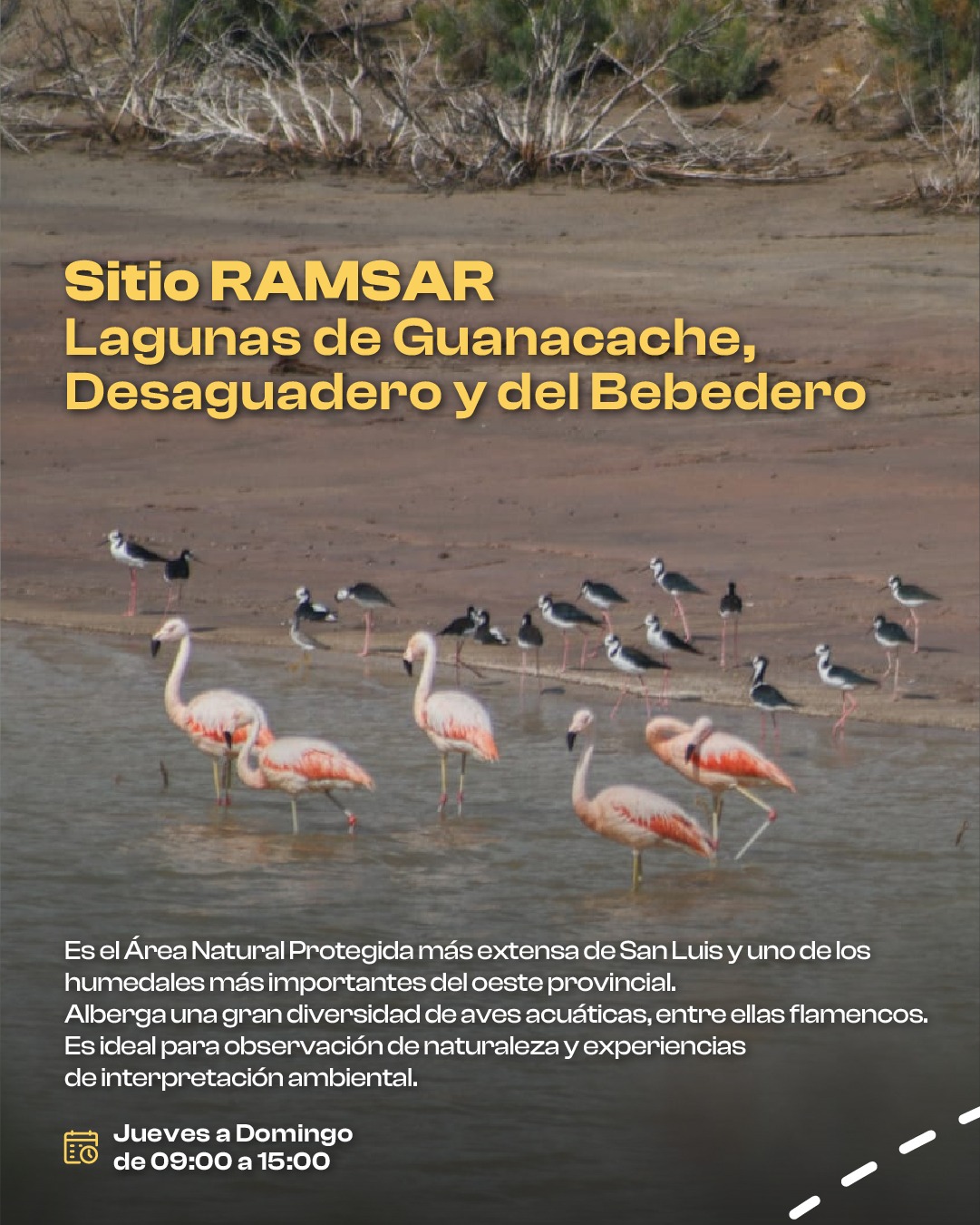 Vacaciones de Invierno - Sitio Ramsar Lagunas de Guanacache